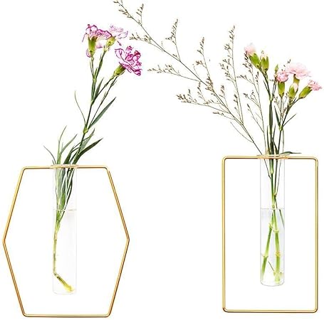 Wall-Mounted Geometric Glass Vase Set – Iron Hanging Flower Vases Homedecoro