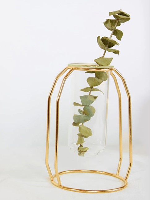 Creative Metal Vase with Glass Tube – Modern Plant Holder for Home Decor Homedecoro
