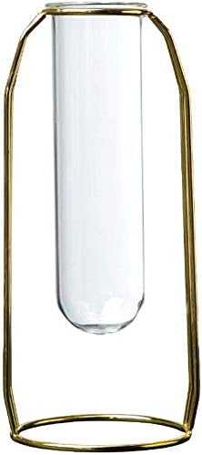 Creative Glass Vase with Metal Frame – Stylish Hydroponic Plant Holder for Home & Office Decor Homedecoro