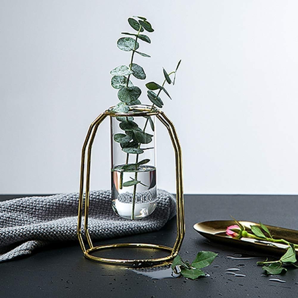 Creative Glass Vase with Metal Frame – Stylish Hydroponic Plant Holder for Home & Office Decor Homedecoro