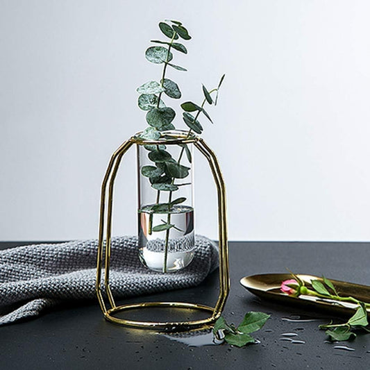 Creative Glass Vase with Metal Frame – Stylish Hydroponic Plant Holder for Home & Office Decor Homedecoro