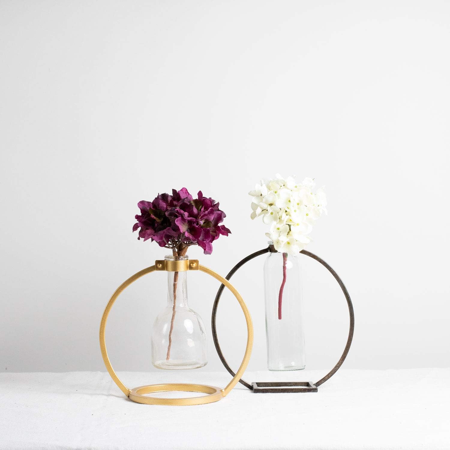 Nordic Retro Iron Art Hydroponics Glass Vase – Golden Metal Flower Stand Homedecoro