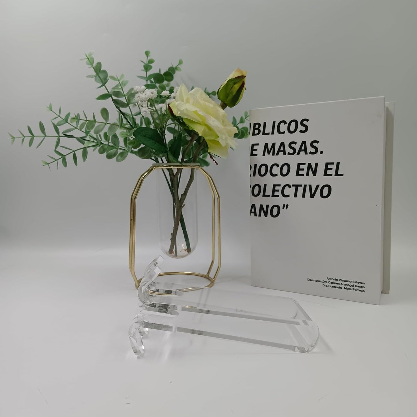 Creative Metal Vase with Glass Tube – Modern Plant Holder for Home Decor Homedecoro