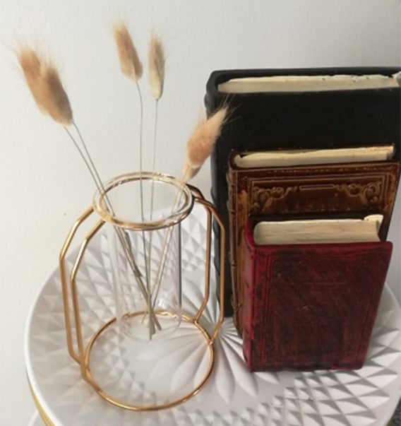 Creative Metal Vase with Glass Tube – Modern Plant Holder for Home Decor Homedecoro